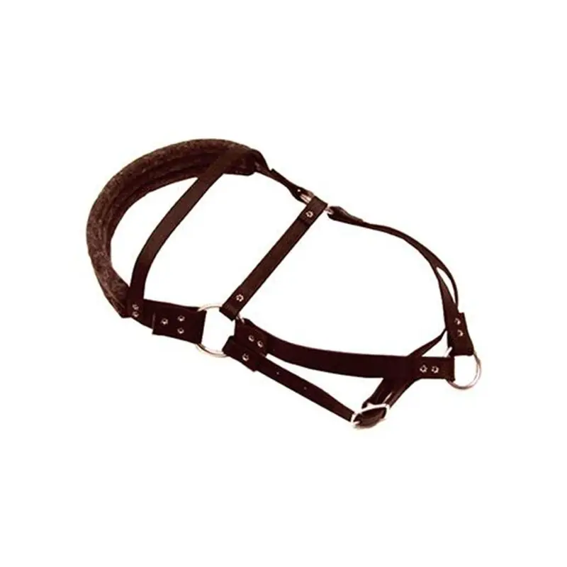 Deluxe Padded Roading Harness For Comfort & Control 1