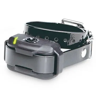 Dogtra Ef-3500 Additional Receiver Collar 1