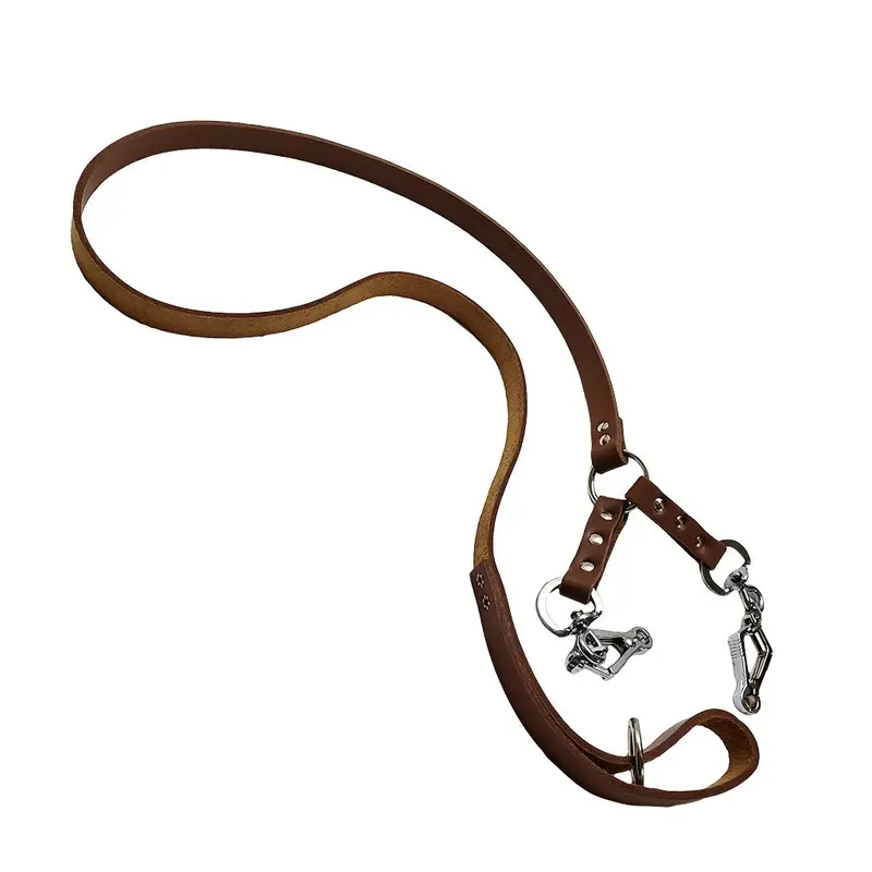 French Snap Double-Lead Leash For Dual-Dog Handling 1