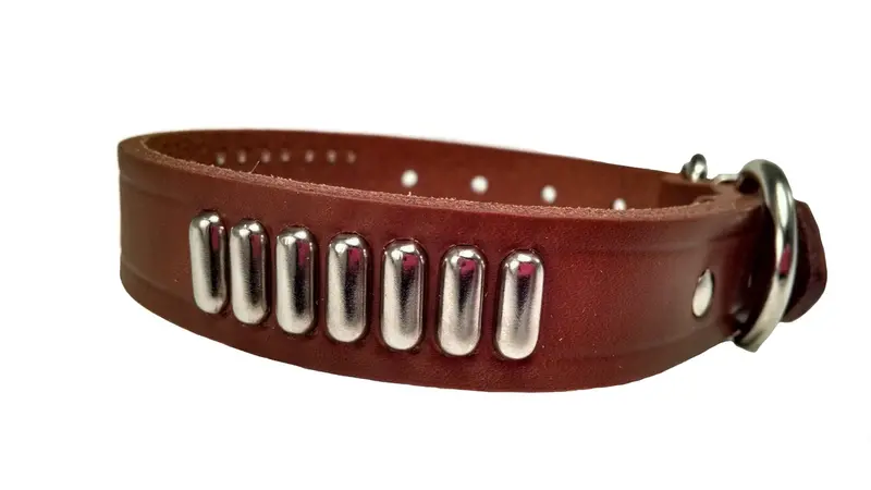 Lcs Leather-Studded Training Collar For Grip & Style 1