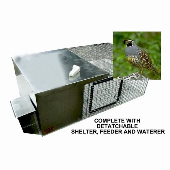 Lion Country Supply Quail Condo – Enhanced Design For Comfort And Security 1
