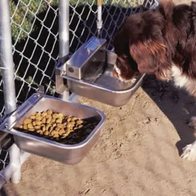 Nelson Automatic Pet Waterer And Dual-Function Feeding Pan Kit 1